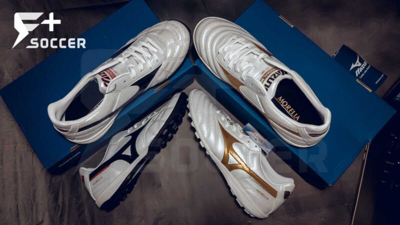 Morelia TF