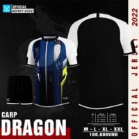 Bộ quần áo bóng đá thiết kế sỉ nidu giá rẻ hàng dệt kim mã dragon màu đỏ đậm