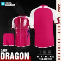 Bộ quần áo bóng đá thiết kế sỉ nidu giá rẻ hàng dệt kim mã dragon màu đỏ đậm