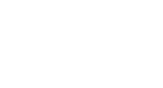 vinsport logo trang