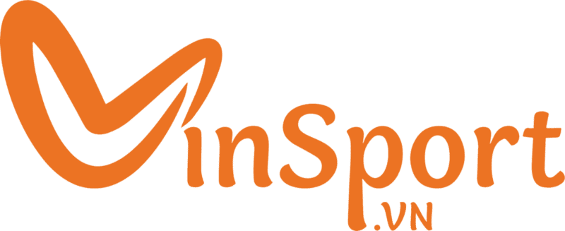 vinsport.vn logo
