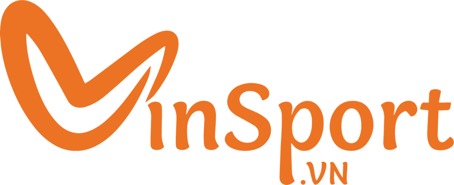 vinsport.vn logo