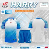 Bộ quần áo bóng đá CP Sport HARY vải mè chính hãng nhiều màu tím