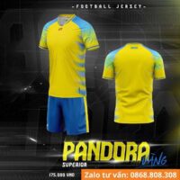 Bộ quần áo bóng đá CP Sport PANDORA vải mè CP chính hãng nhiều màu trắng 1
