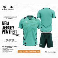 Bộ quần áo bóng đá VH Sport Panther vải sợi mè dệt mỏng nhẹ thoáng khí nhiều màu vàng be