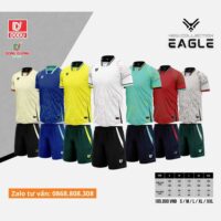 Bộ quần áo bóng đá thiết kế DODU EAGLE chính hãng Đông Dương sport vải mè 1