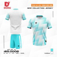 Bộ quần áo bóng đá Dodu D1 nhiều màu vải thun rmz fabric nhiều màu