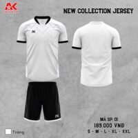 Bộ quần áo bóng đá Aika 01 chính hãng vải thun rmz fabric nhiều màu