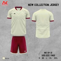 Bộ quần áo bóng đá Aika 01 chính hãng vải thun rmz fabric nhiều màu