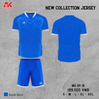 Bộ quần áo bóng đá Aika 01 chính hãng vải thun rmz fabric nhiều màu