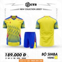 Bộ quần áo bóng đá simba vải thun rmz fabric chính hãng nhiều màu