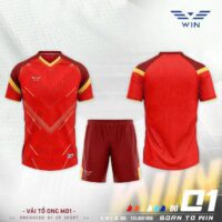 Bộ quần áo bóng đá Win 01 vải sợi mè tổ ong MD1 nhiều màu 1