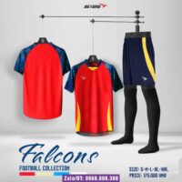 Bộ quần áo đá bóng Beyono Falcons vải dệt kim bio chính hãng nhiều màu