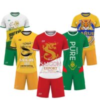 Ảnh đại diện các mẫu bộ quần áo bóng đá bia saigon lager xanh trắng