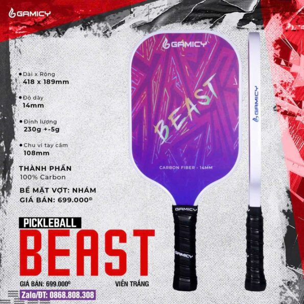 Vợt Pickleball Gamicy Beast T300 14mm Bán Chuyên Giá Rẻ