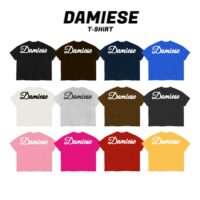 ÁO THUN BOXY DAMIESE IN PHỒNG COTTON 260GSM (2)