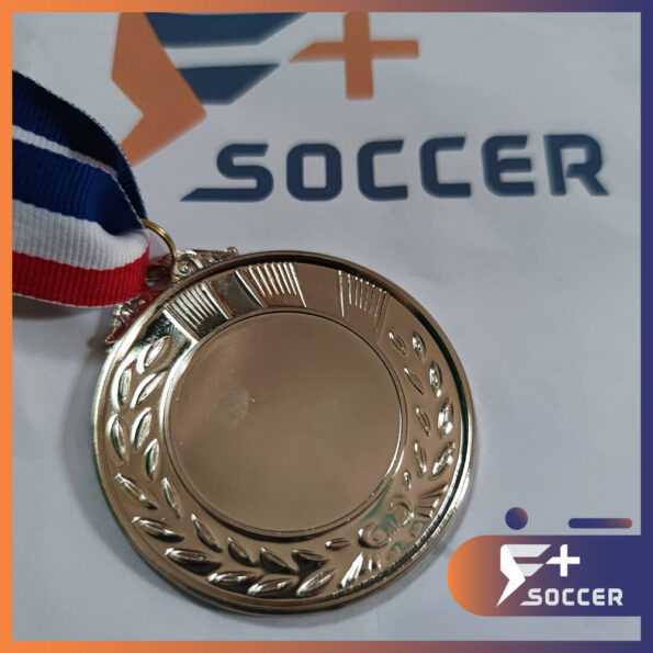 Huy chương bông lúa dành cho các bộ môn bóng đá bóng chuyền 4