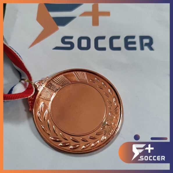 Huy chương bông lúa dành cho các bộ môn bóng đá bóng chuyền 6