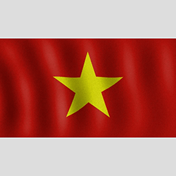Đồ đội tuyển Việt Nam