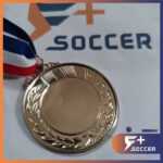 Huy chương bông lúa dành cho các bộ môn bóng đá bóng chuyền 8
